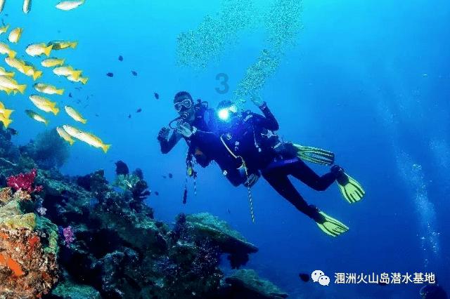 逃出灰绿房