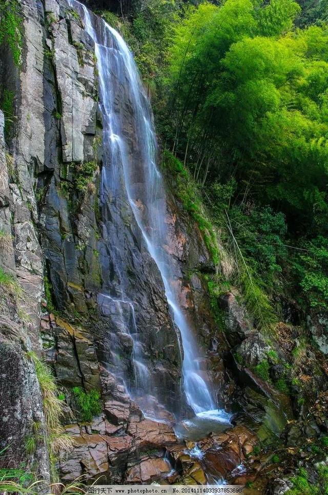 逃离制药厂