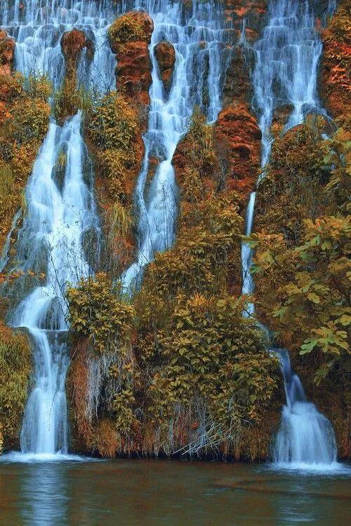 蓖麻子有剧毒，这种危险植物，农民过去为啥会大量种植？游戏画面