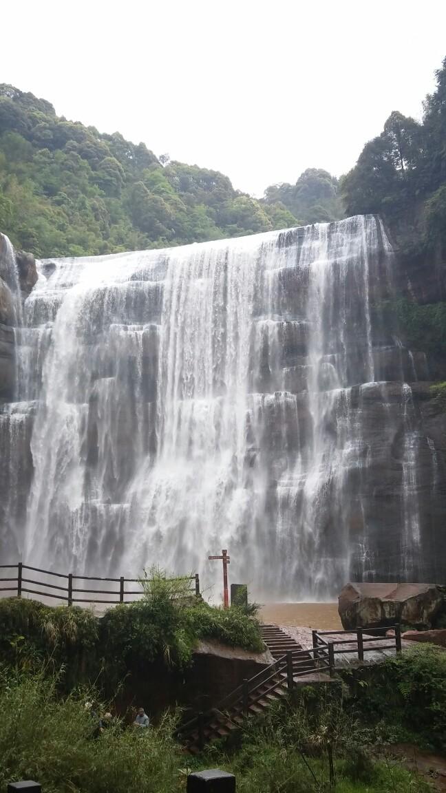 梦想的后院